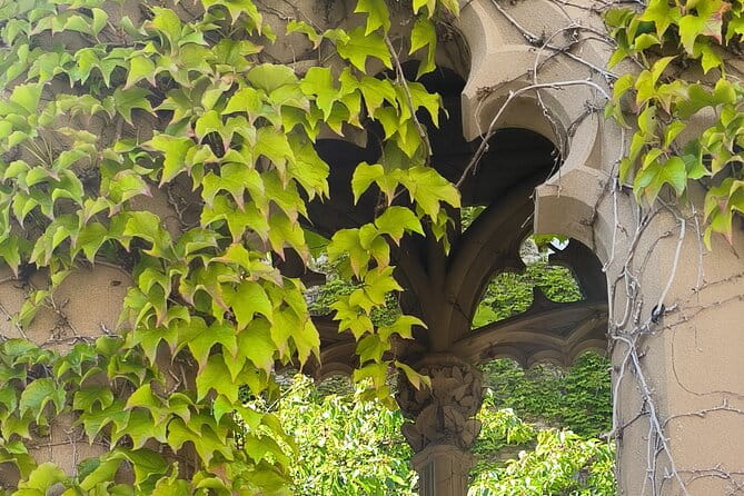 Uncorking Olite: A Private Wine Tour & Royal Castle Experience - Tasting Navarre: From Txakoli to Pintxos