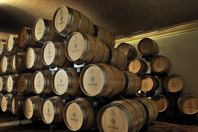 Vineyard Tour with Light Lunch in Valpolicella - The Sum Up