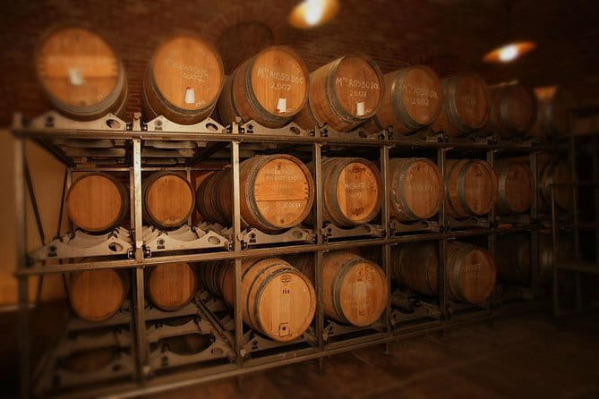 Visit among vineyards and wine cellar with wine tasting in Nizza Monferrato - The Sum Up