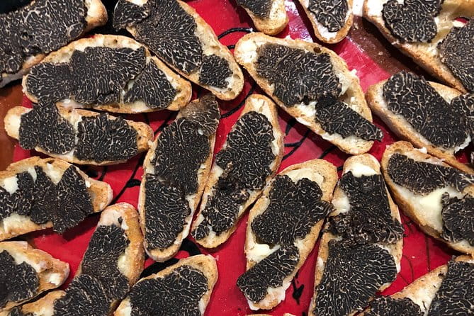 Visit truffle fields and hunt with a dog in all seasons. - Practical Considerations