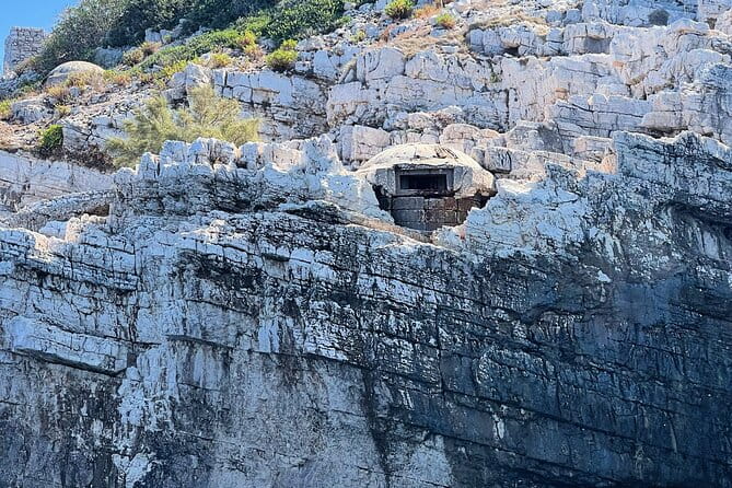 Vlore Speedboat Tour to National Marine Park Sazan-Karaburun - Who Should Consider This Tour?