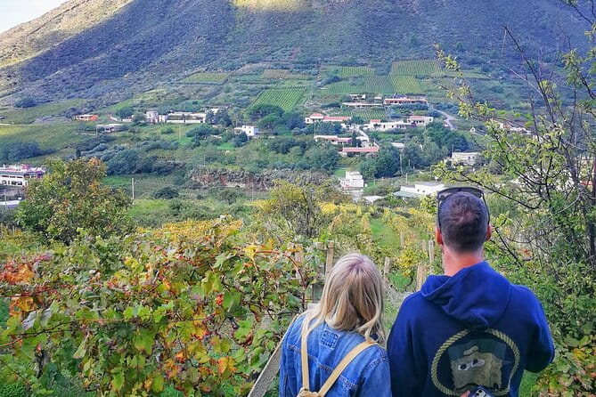 Walk through vineyards, breathtaking views and flavors of Salina - Savoring the Flavors of Salina