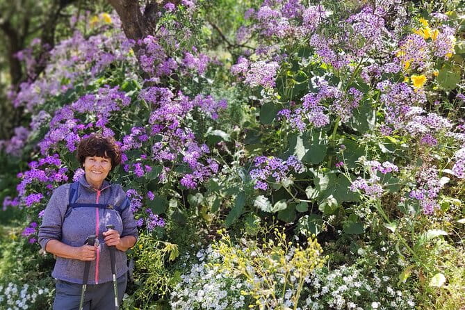 Wanderungen im grünen Gran Canaria - Price and Value: Is It Worth It?