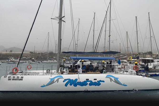 Whale & Dolphin Watching With Mustcat Virgin Coast Trip On a Large Catamaran - The Practicalities: Logistics That Matter