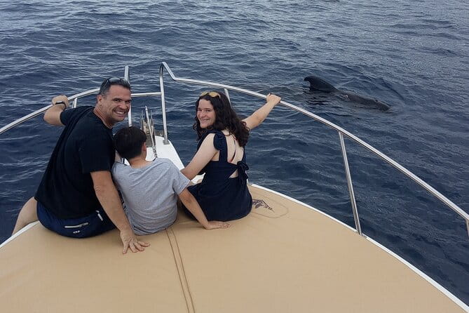 Whale watching and snorkelling in the whale sanctuary - Setting Out from Playa San Juan: What to Expect