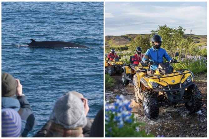 Whale Watching & ATV Adventure from Reykjavik - Price and Logistics: Good Value, Clear Expectations