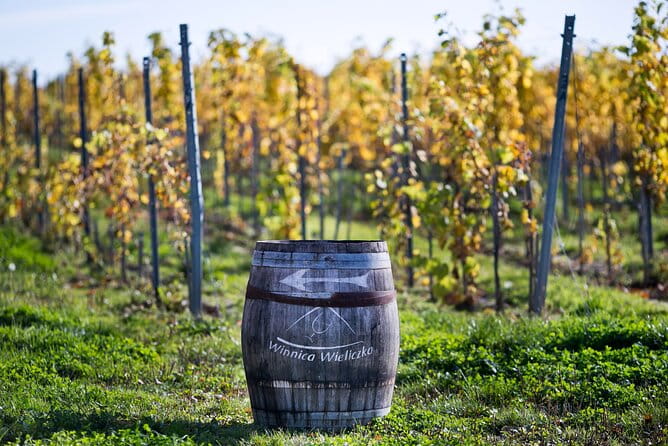 Wieliczka Vineyard: Wine tasting with local snacks - Who Should Consider This Tour?