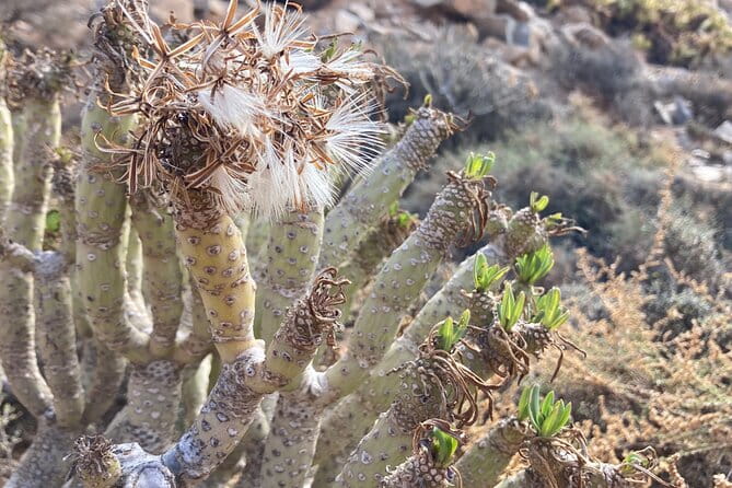 Wild coast nature experience and legends - FAQ