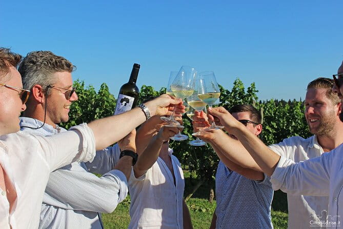 Wine and Food Tasting in the Vineyards in Lazise - The Experience in Detail