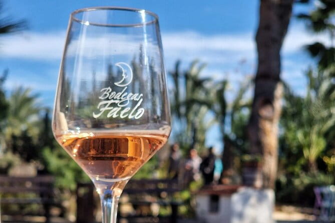 Wine and Tapas Tasting Tour from Alicante, Private Van - Exploring the Itinerary in Detail