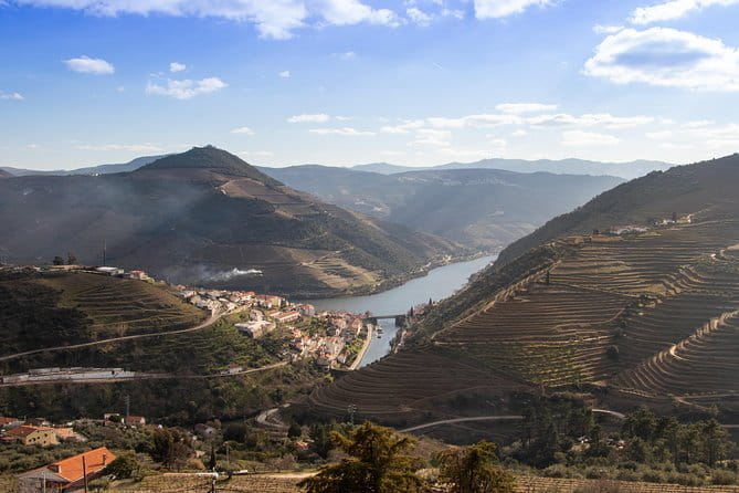 Wine Class Portugal wines in a small farm with a visit to the winery - Why This Experience Stands Out