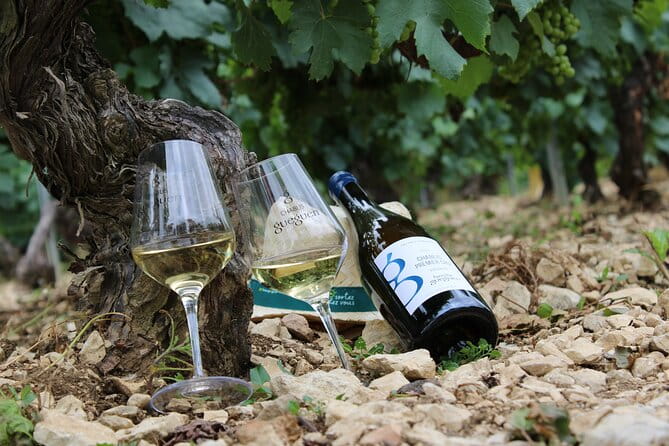 Wine Getaway with Tasting in the Chablis Vineyard - Who Should Consider This Tour?