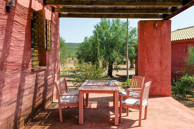 WIne & Olive Oil Tasting in an Organic Farm in Laconia, Greece! - Greek Wines: An Intimate Journey Through Terroir