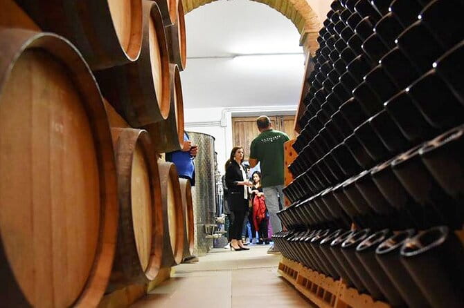 Wine Tasting and Guided Visit to the Vineyard and Cellar in S. Maria Imbaro - Practical Tips for Travelers