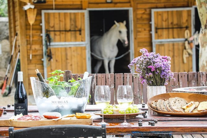 Wine tasting at Quinta das Murgas - Who Will Love This Tour?