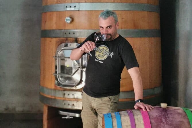 Wine Tasting Experience at the organic winery in ian - What the Tasting Includes and the Atmosphere