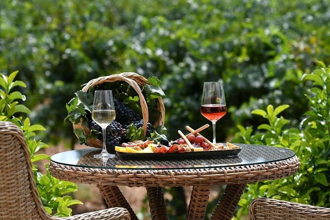 Wine Tasting Tour at Two Wineries in Urla Turkey - The Guide and the Small Group Advantage