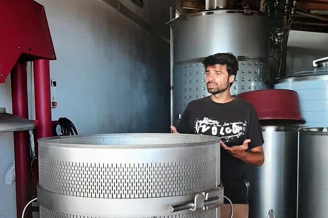 Wine tour and Tasting with a local Winemaker at Pico Island - The Practicalities: What to Expect