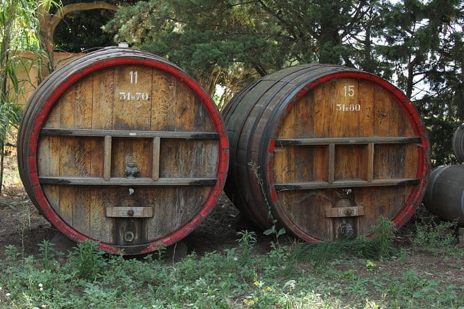 Wine Tour Bandol & Cassis from Marseille - Who this tour is perfect for