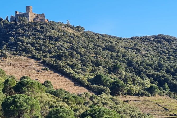 Wine Tour in Roussillon: Picnic & Tasting Day - Discovering the Best of Roussillon: A Day in Vineyards and Heritage