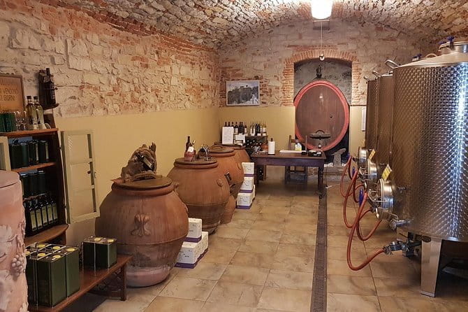 Wine Tour of two Chianti wine estates on the hills of Florence - Exploring Castello di Volognano