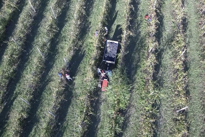 Winery tour with wine tasting from Assisi - FAQ