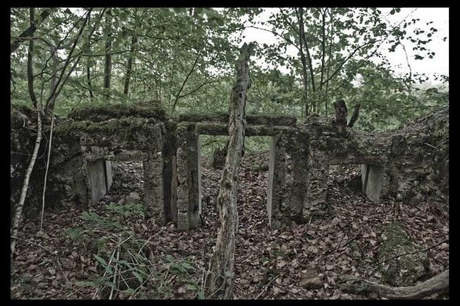World War I Tour of Northern France; the Argonne Forest - Exploring the Argonne Forest: A Deep Dive