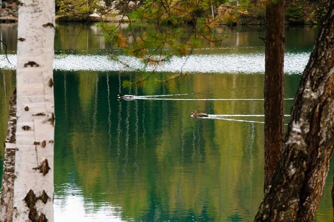 Wroclaw to Rock City in Adrsprach - Entering The Wild World of Adrsprach Rocks