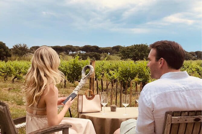 1/2 day, private wine tour, van from Saint Tropez - Who Is This Tour Best For?