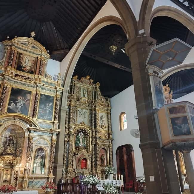 1.5-hour walking tour of Puerto de la Cruz, Tenerife. - Who Will Love This Experience?