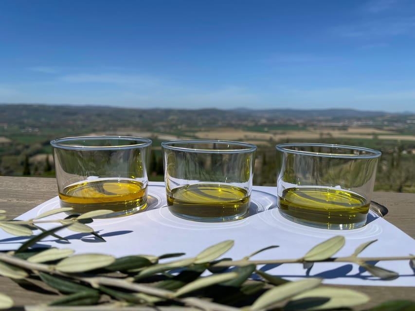 1-Hour Private Tour of the Oil Mill with Tasting - The Heart of the Experience: The Guided Tour