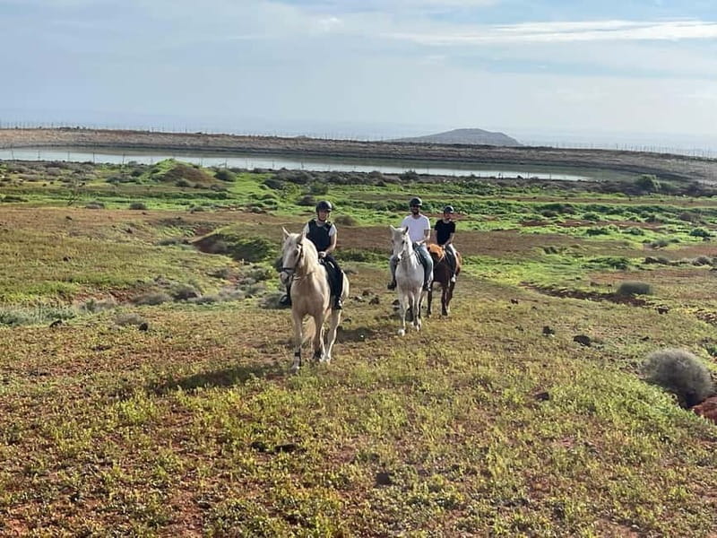 1 hour relaxing horse riding tour in Gran Canaria - What to Expect During the Ride