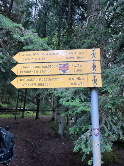 13 km hiking tour from Kutaisi to Borjomi - Who Will Love This Tour?