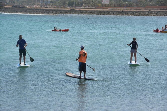 1,5-Hour Beginners Stand Up Paddle Course in Caleta de Fuste - Who this experience is perfect for