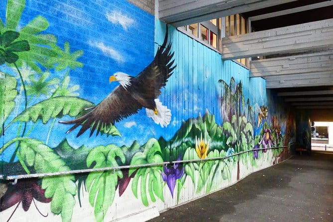 1,5 hour private guided Mural Street Art tour in Arnhem - A Closer Look at the Stops