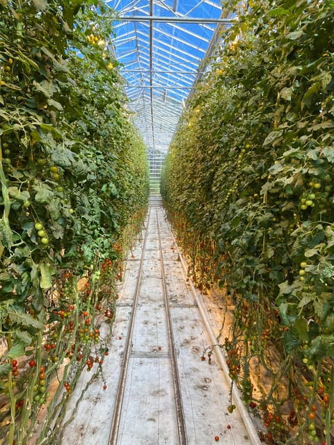 2 days Private tour: Golden circle and South coast - Final Thoughts