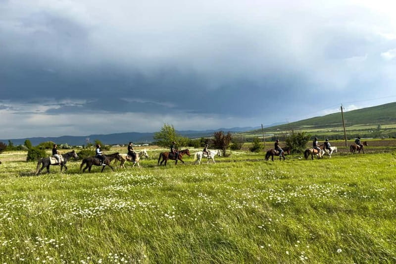 2-hour horse riding tour at Palomino Ranch - Entering the Georgian Countryside on Horseback