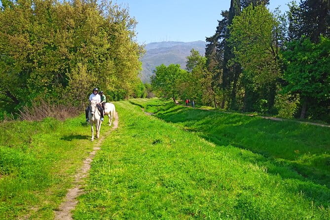 2 hour horseback ride for experts in Valgraziosa (Pisa) - What to Wear and Bring