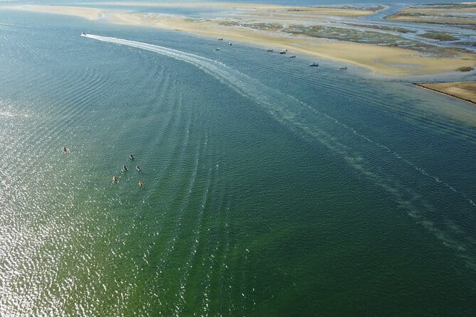 2 Hours Kayak Island Tour in the Natural Park of Ria Formosa - What to Expect on Your Itinerary