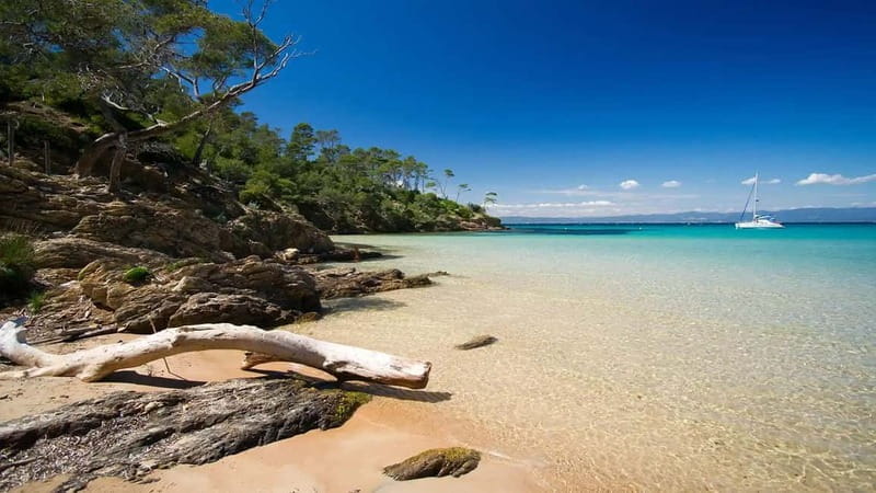 2 Islands Cruise: Porquerolles & Port-Cros with stops - Price and Logistics