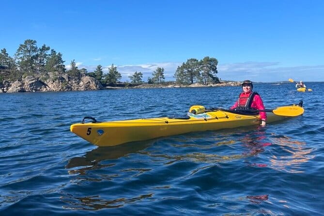 3-Day Kayak Tour in the Stockholm Archipelago - Who Will Love This Tour?