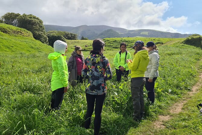 3 Hours Guided Forest Bathing Hike in Portugal - FAQ About the Guided Forest Bathing Hike in Portugal