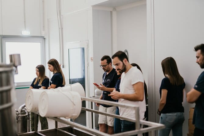 30-Minute Guided Honey Tasting Activity in Melini - Meeting Point, Logistics, and Accessibility