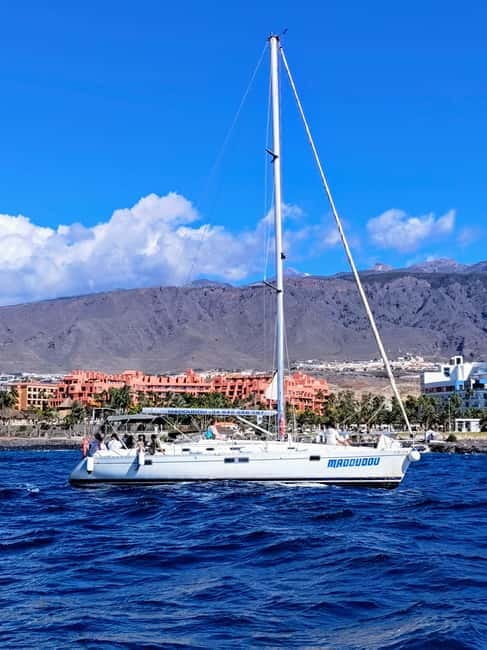 3h Whale Watching Private tour Beneteau Oceanis 440 - Who Is This Tour Best For?