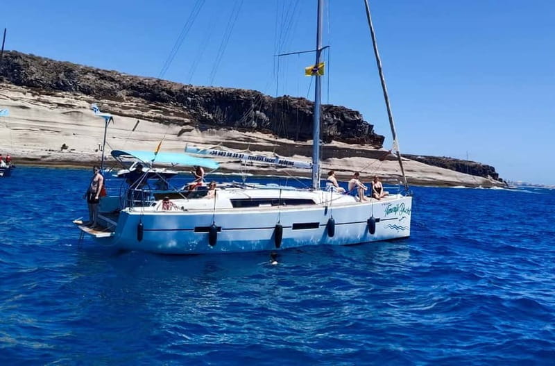 3h Whale Watching Private Tour Costa Adeje Lina7 Mizendoha - The Wildlife: Pilot Whales and Dolphins