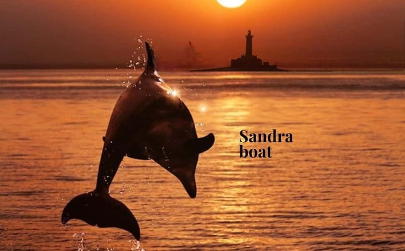 3hours Dolphin Sunset watching with unlimited drinks +dinner - Who Will Love This Tour?
