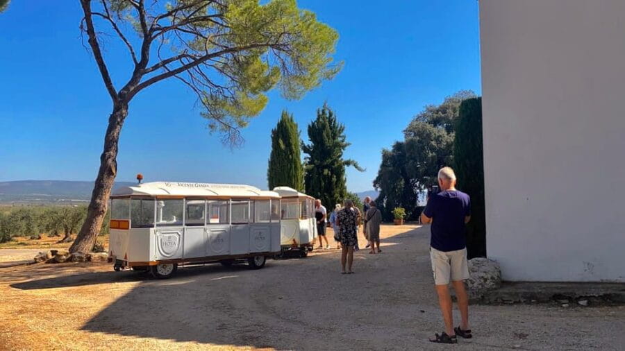 4-days wine trip to Valencia & Requena! 16/9 - 20/9 - 2025 - Is It Worth the Price?