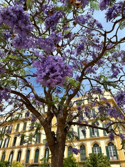 45 minutes flamenco dance class for family in Málaga - Entering the Heart of Flamenco: The Class Itself