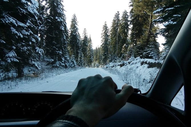 5 Day Tour from Tbilisi to Western Georgia - Who This Tour Suits Best