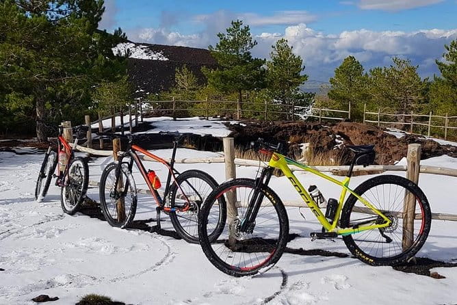 5-Hour Mount Etna Mountain Biking Tour - The Experience: What You Can Expect